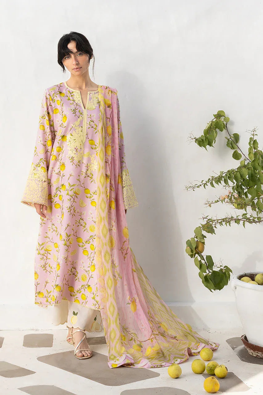 Ambar (B) - Aqsa Fabrics