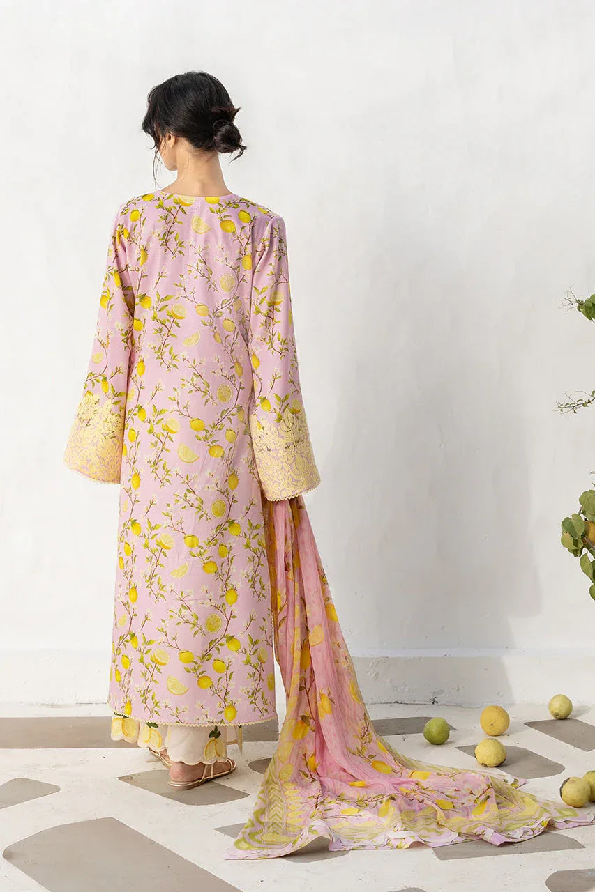 Ambar (B) - Aqsa Fabrics