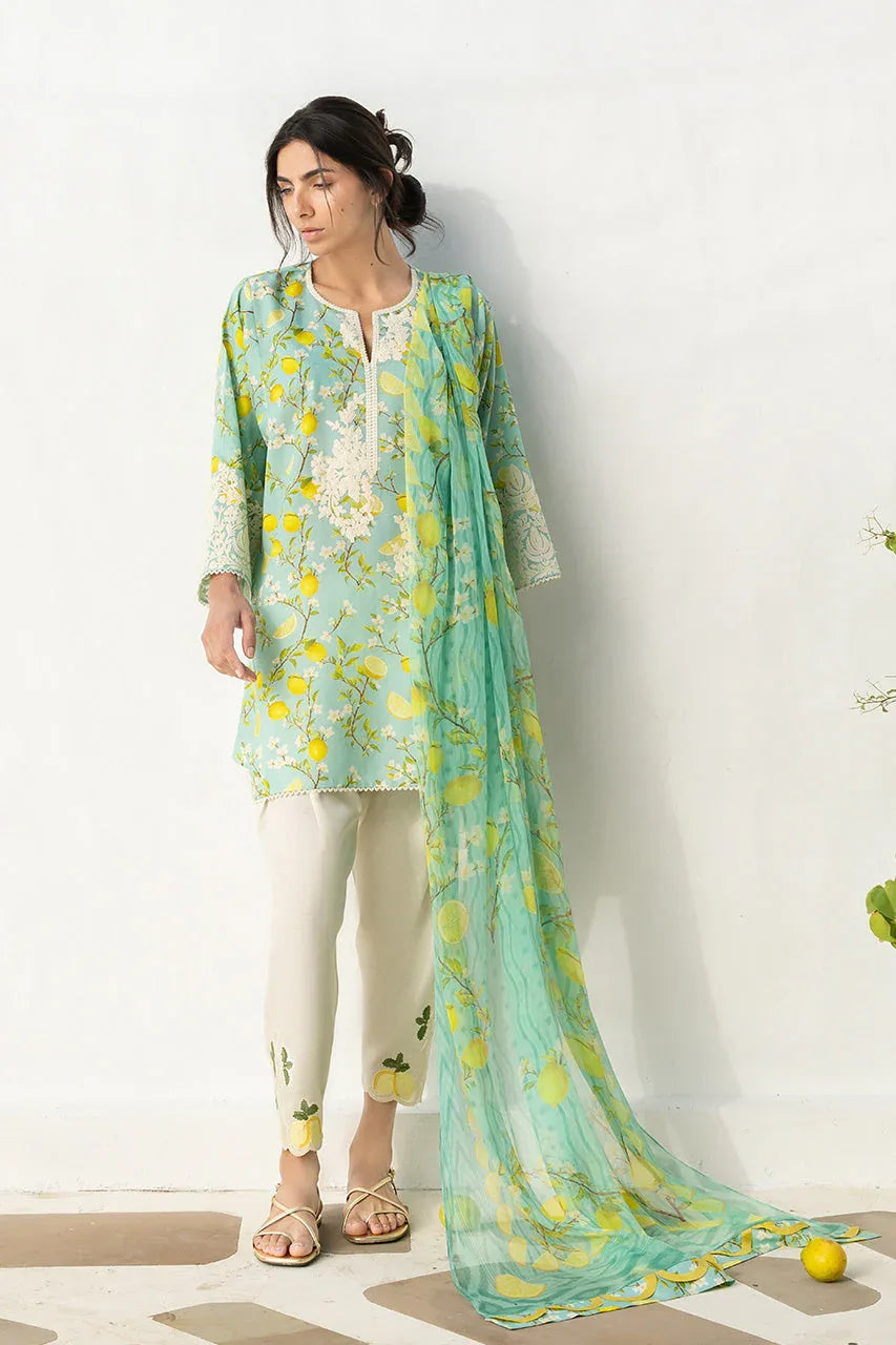 Ambar (A) - Aqsa Fabrics