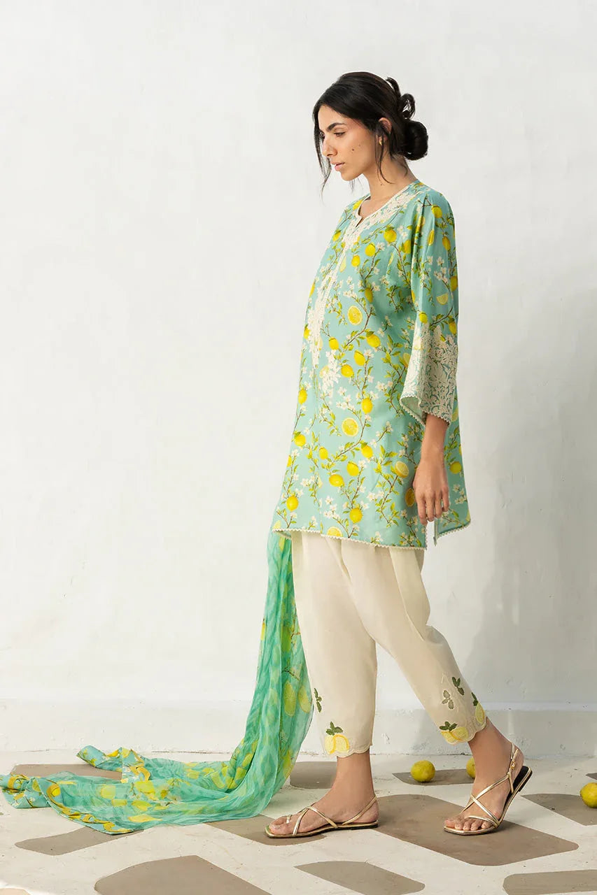 Ambar (A) - Aqsa Fabrics