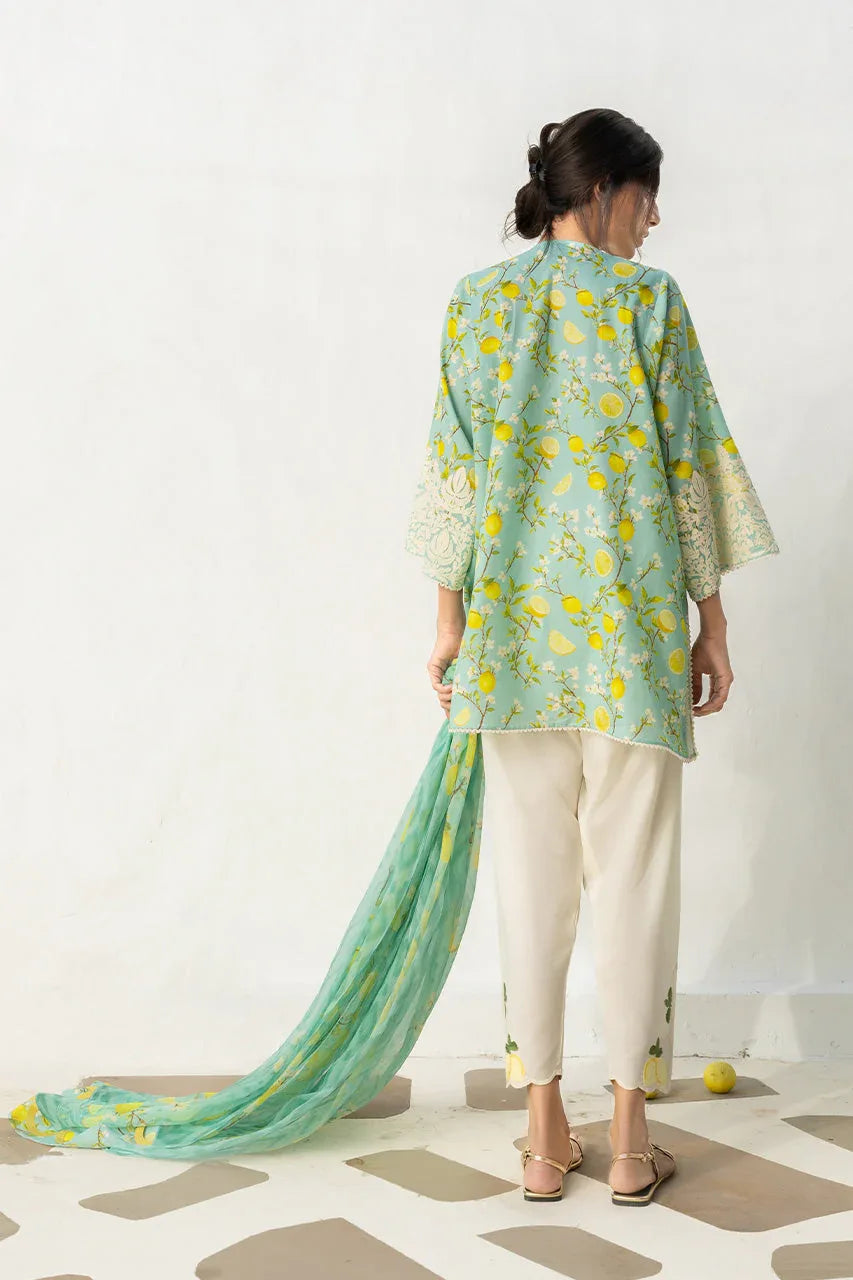 Ambar (A) - Aqsa Fabrics
