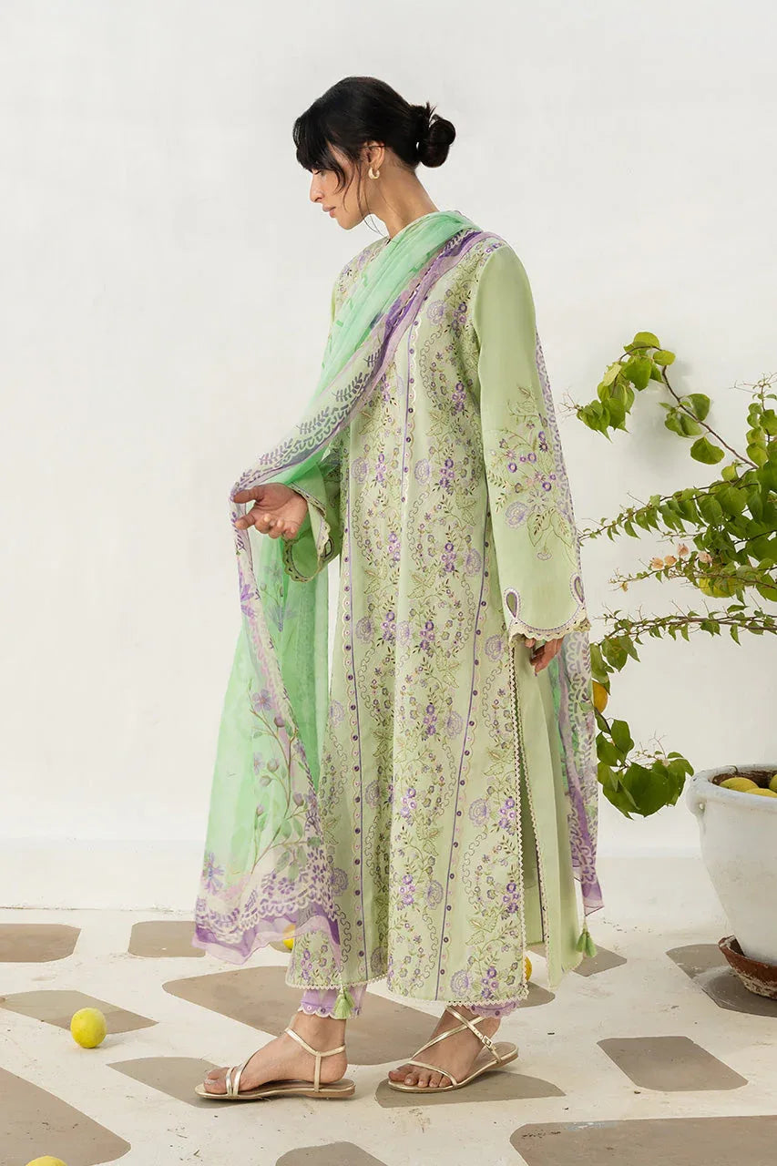 Fez (B) - Aqsa Fabrics