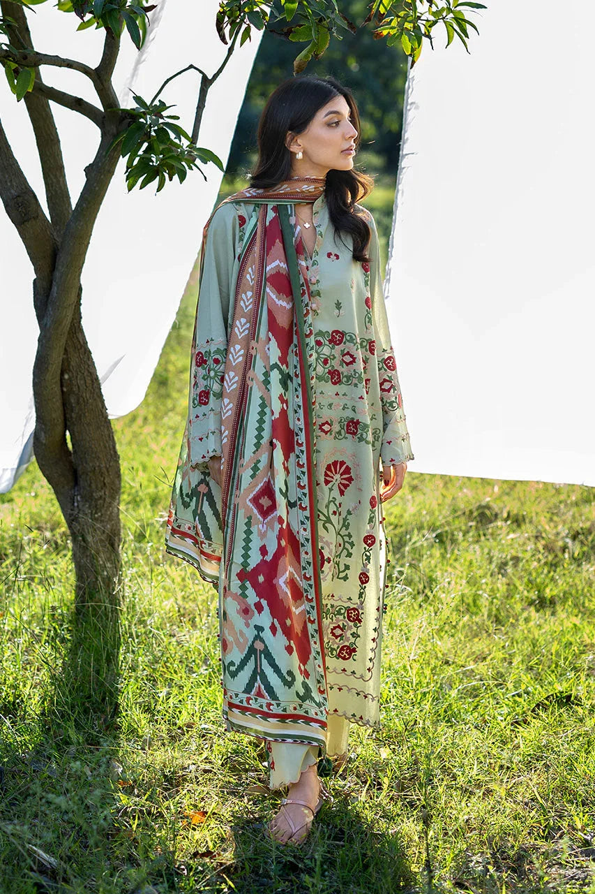 Mayil (A) - Aqsa Fabrics