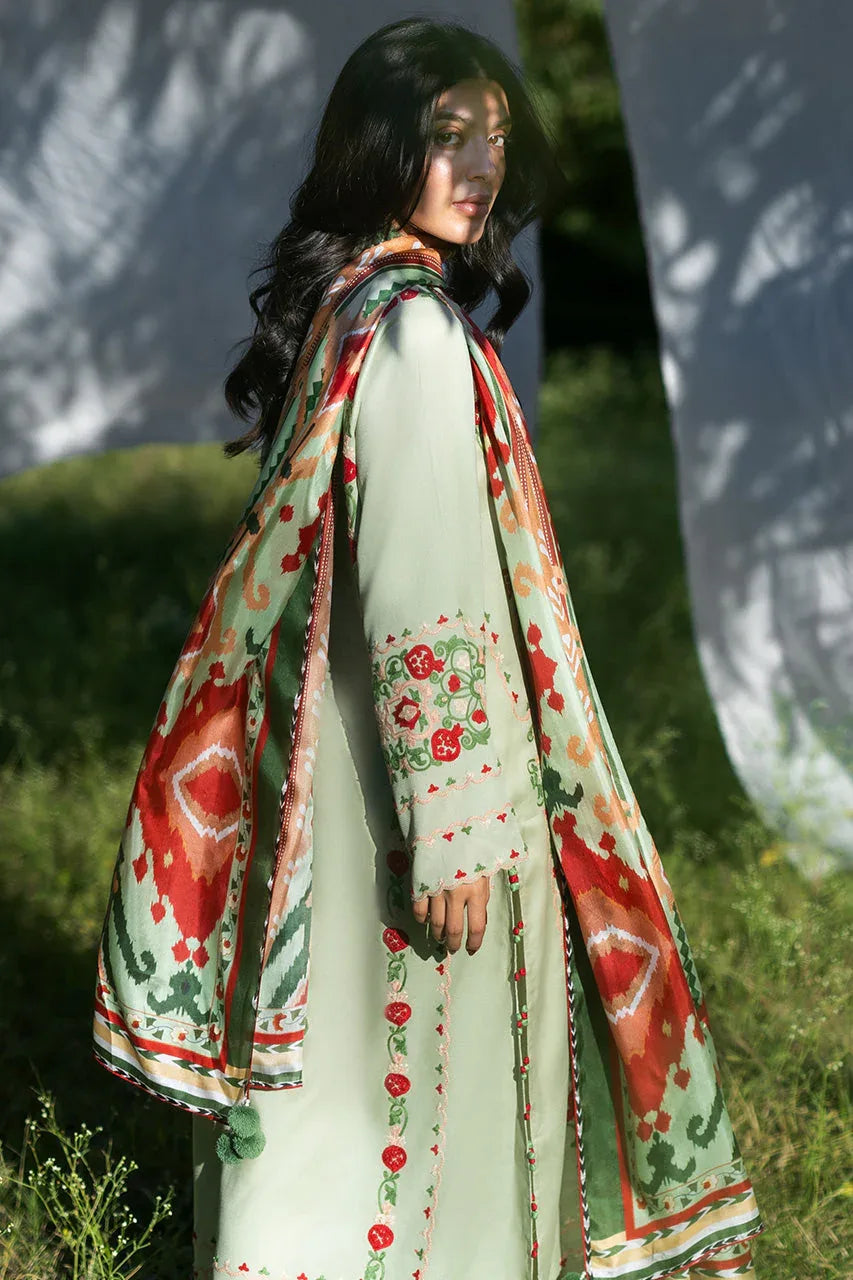 Mayil (A) - Aqsa Fabrics