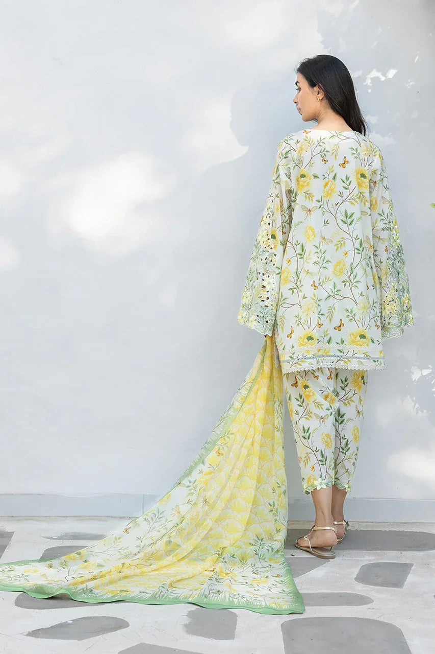 Lulu (A) - Aqsa Fabrics