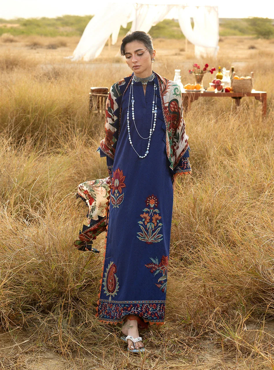 Elara 06 - Aqsa Fabrics