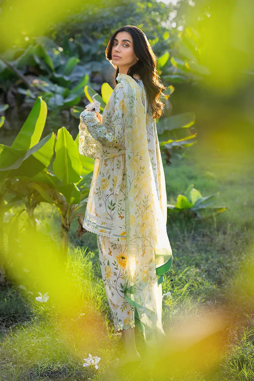 Lulu (A) - Aqsa Fabrics