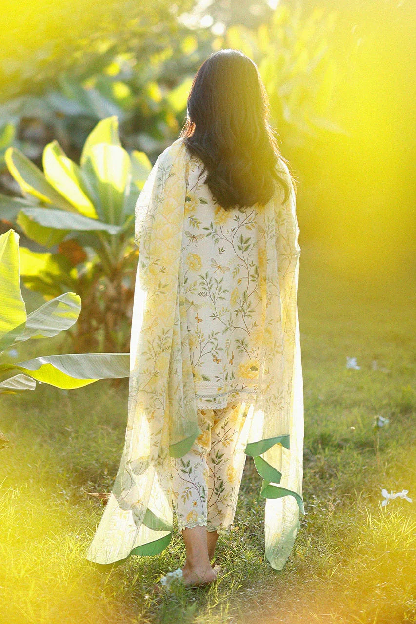 Lulu (A) - Aqsa Fabrics