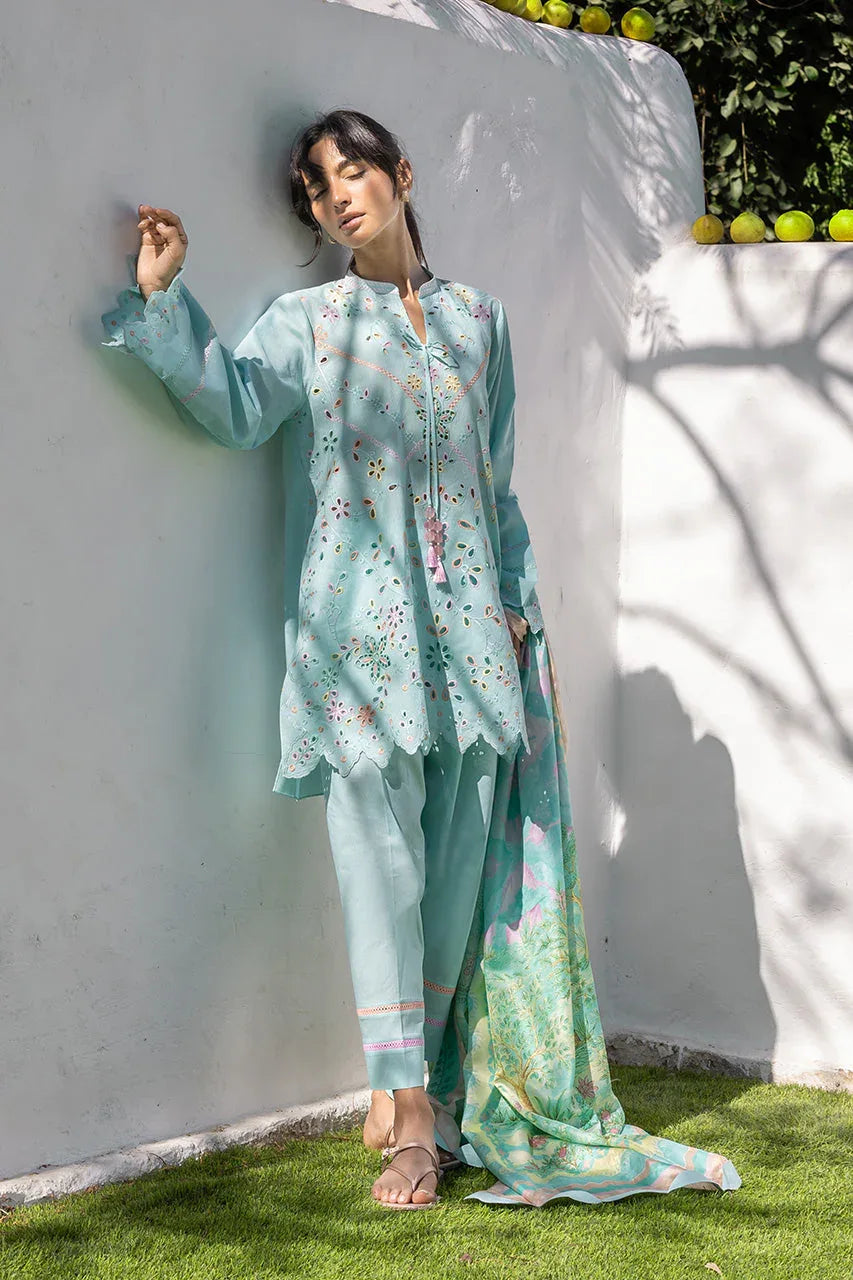 Vinny (B) - Aqsa Fabrics