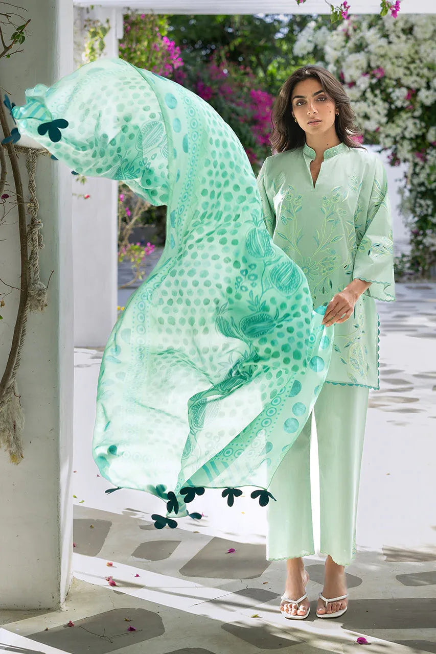 Reva (A) - Aqsa Fabrics