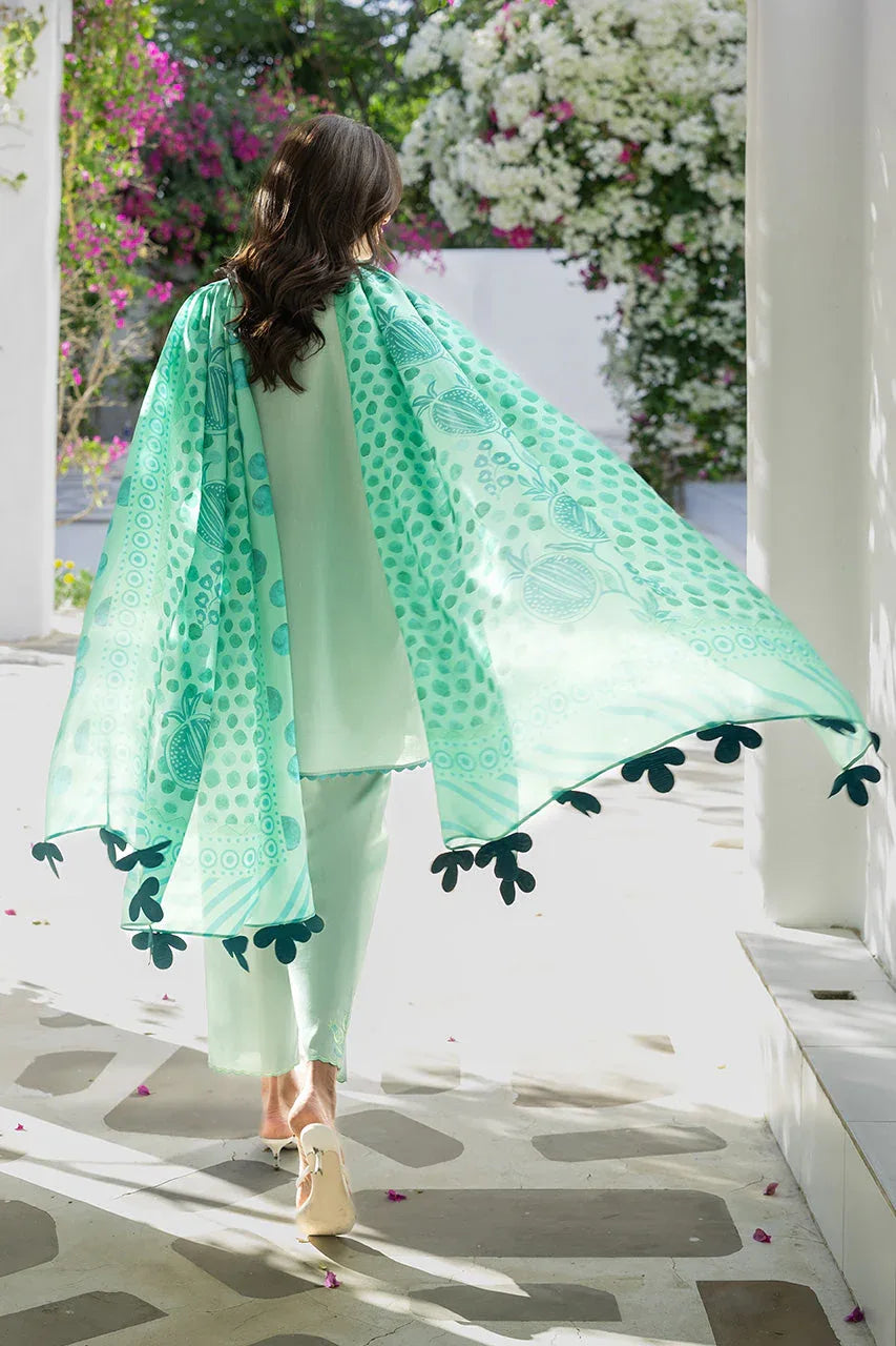 Reva (A) - Aqsa Fabrics