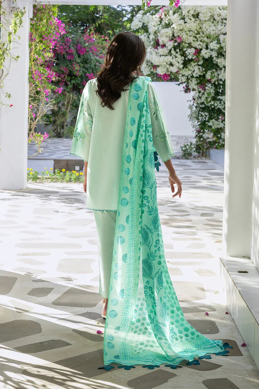 Reva (A) - Aqsa Fabrics