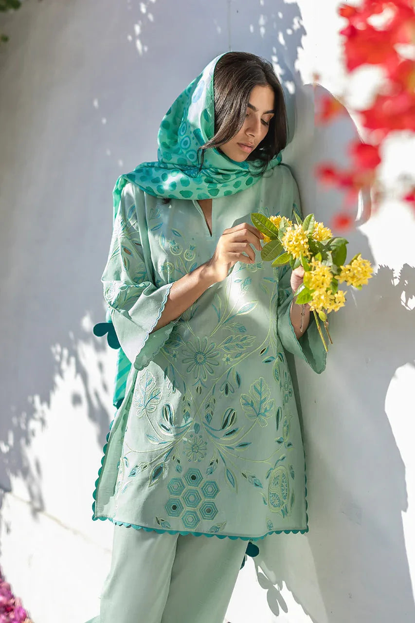 Reva (A) - Aqsa Fabrics