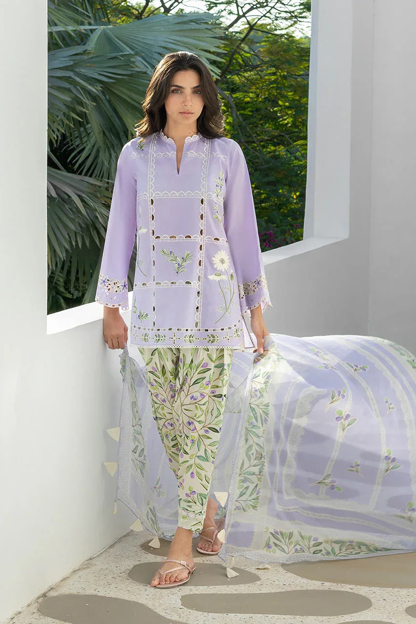 Seya (B) - Aqsa Fabrics