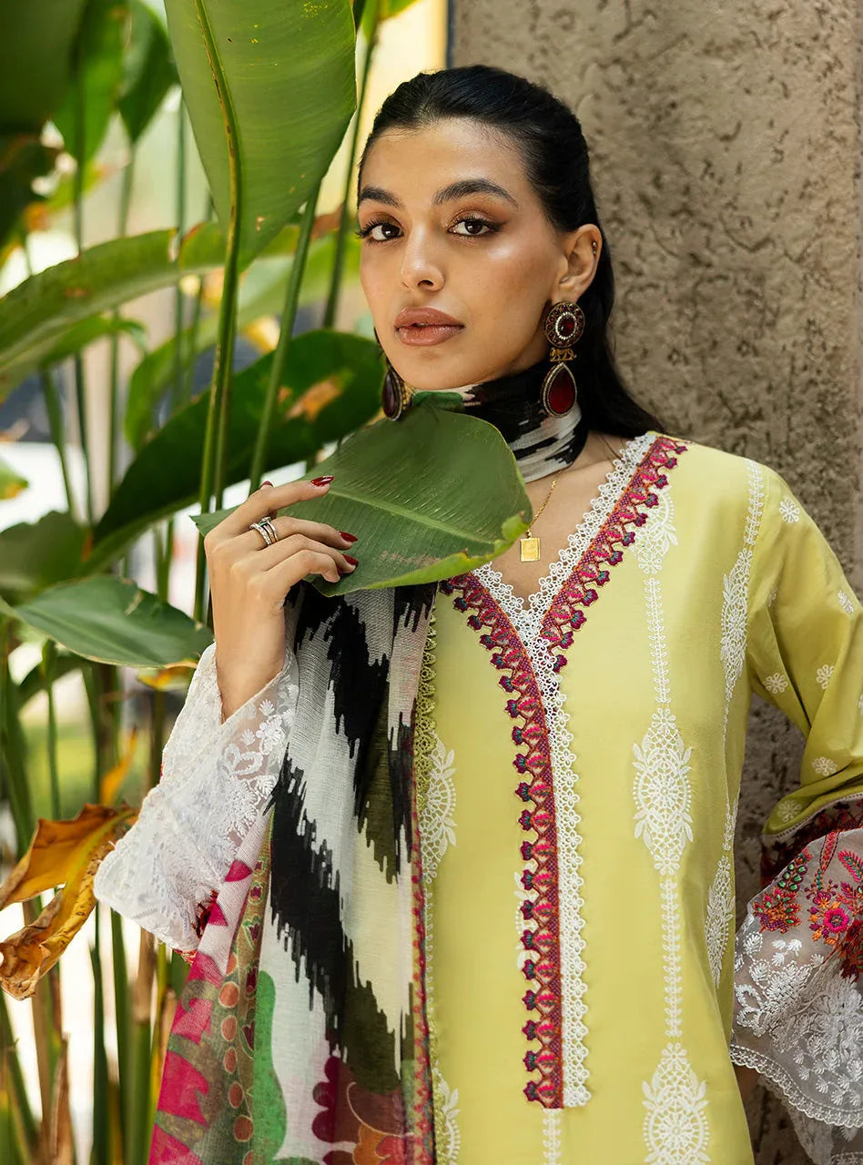 Zainab Chottani | Chikankari 25 | Rayne - 12A - Aqsa Fabrics