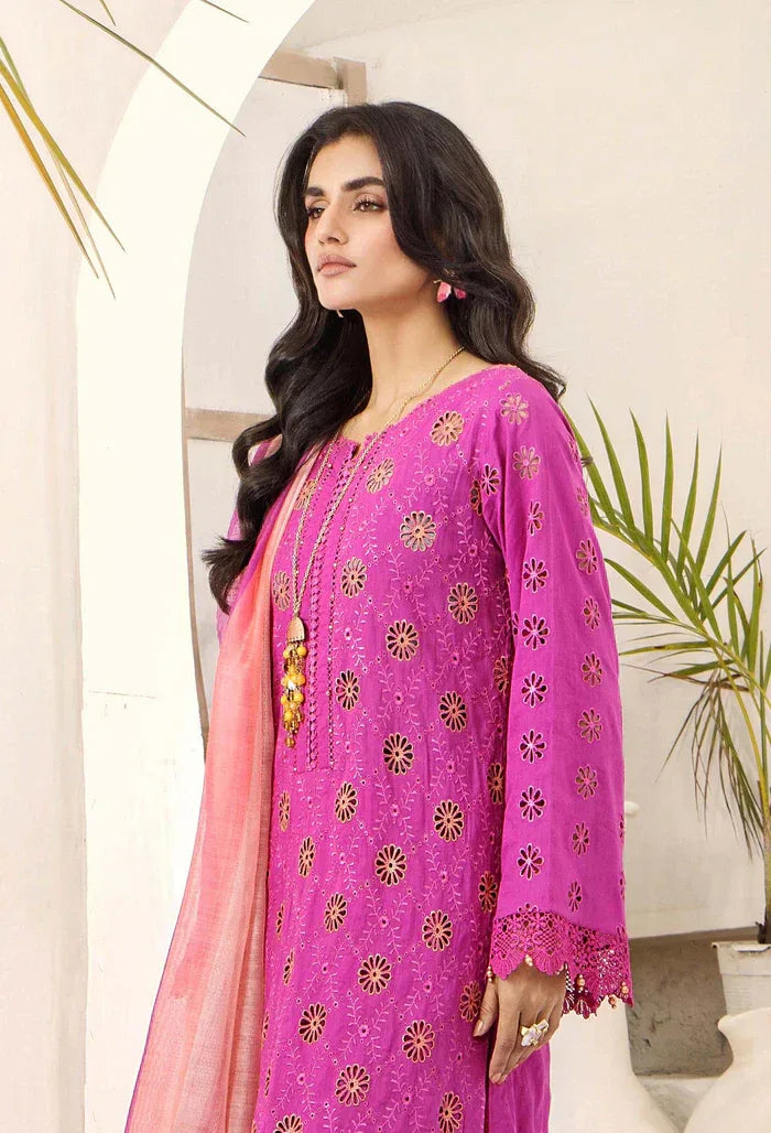 Adans Libas | Alora25 | ALORA 1 - Aqsa Fabrics
