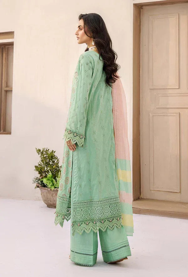 Adans Libas | Alora25 | ALORA 4 - Aqsa Fabrics