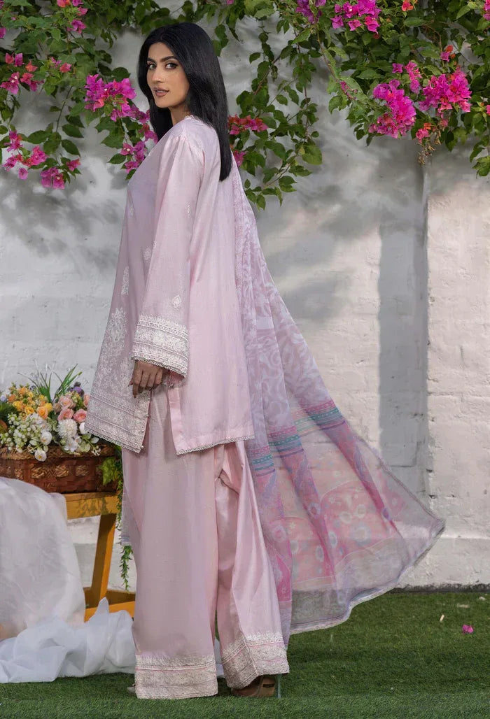 Adans Libas | Cambric ready to wear | CAMBRIC 17 - Aqsa Fabrics