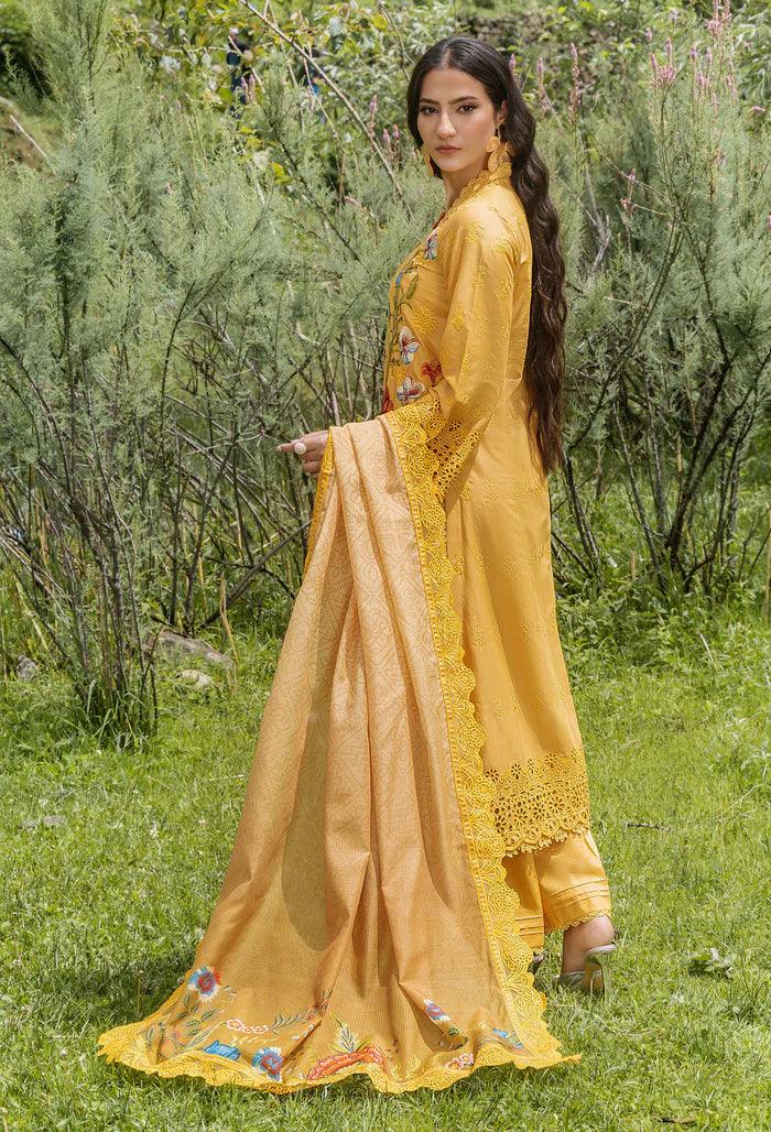 Adans Libas | Lasserkari Vol 02 | LASSER 554041 - Aqsa Fabrics