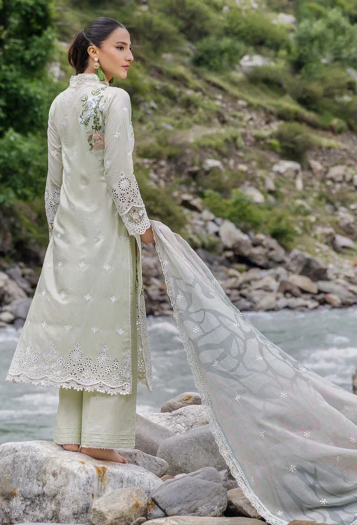 Adans Libas | Lasserkari Vol 02 | LASSER 554040 - Aqsa Fabrics