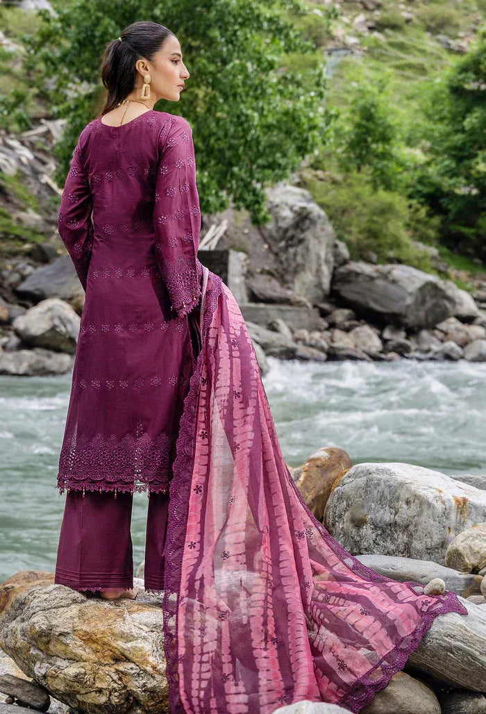 Adans Libas | Lasserkari Vol 02 | LASSER 554047 - Aqsa Fabrics