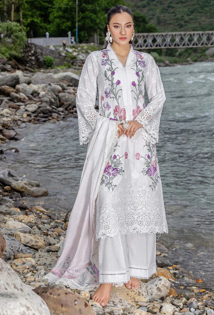 Adans Libas | Lasserkari Vol 02 | LASSER 554044 - Aqsa Fabrics