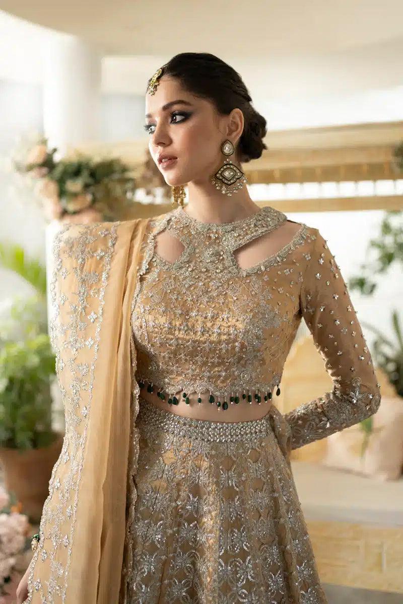 Qalamkar | Dilnaz Wedding Formals | DN-01 IMAAN - Aqsa Fabrics