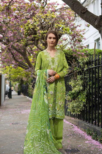 Sobia Nazir | Basics 25 | Design 3A - Aqsa Fabrics