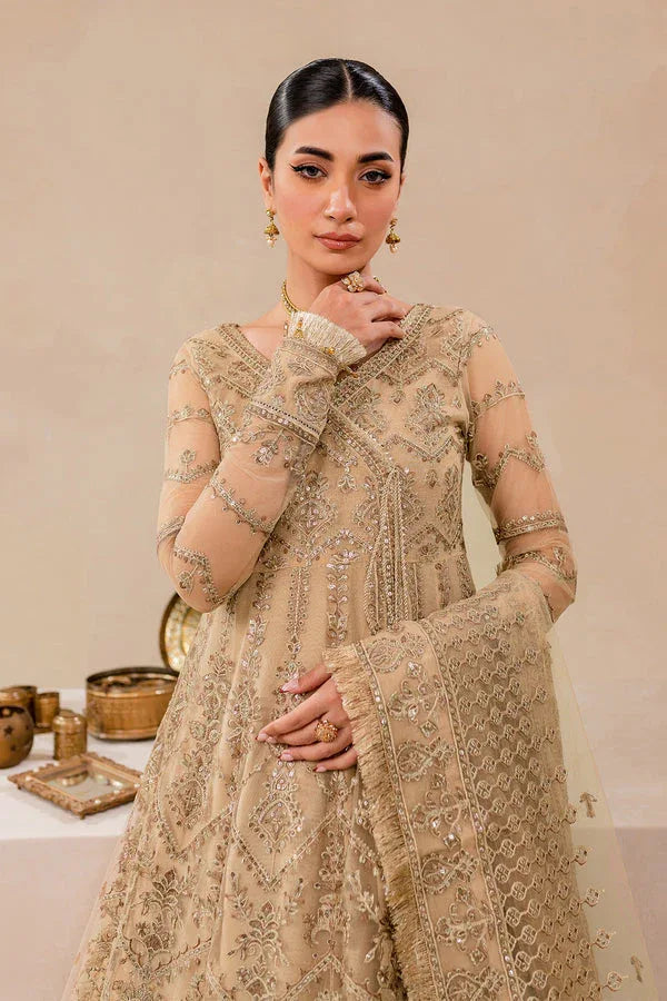 Farasha | Lumiere Formals | DREAMT FLAIR - Aqsa Fabrics