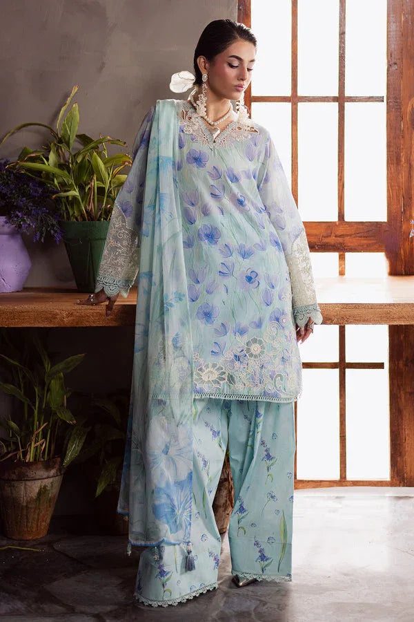 Nureh | Amaya Formals | DD-13 - Aqsa Fabrics