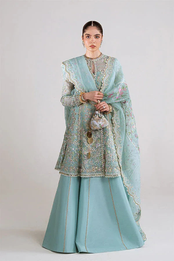 Suffuse | Freeshia RTW 25' | Illyra - Aqsa Fabrics