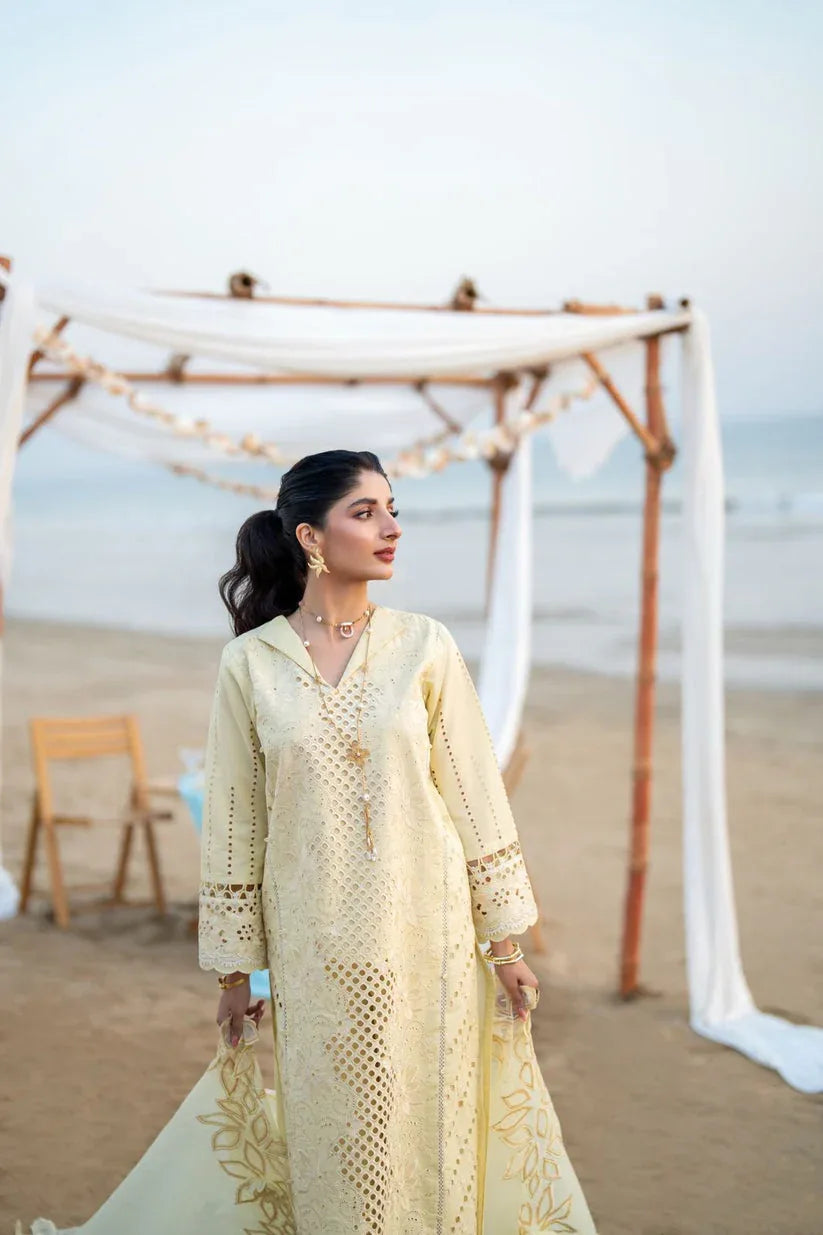Aabyaan | Saagar Luxury Lawn 25 | SOFINA (AS-07) - Aqsa Fabrics