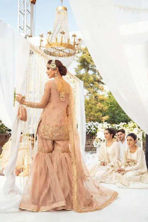 Maya | Wedding Formal Babul | ANAYAT - Aqsa Fabrics