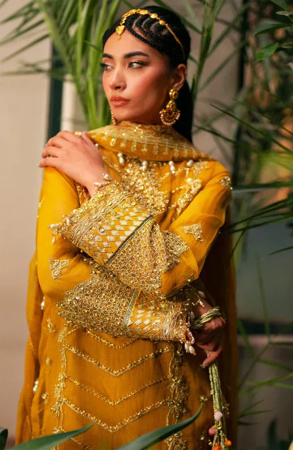 Eleshia | Khatoon Wedding Formals | Janan - Aqsa Fabrics