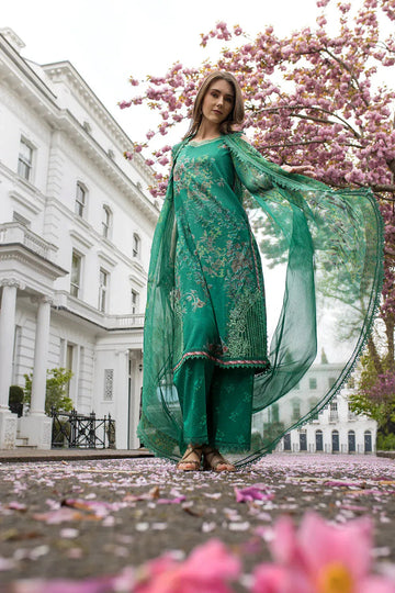Sobia Nazir | Basics 25 | Design 5B - Aqsa Fabrics