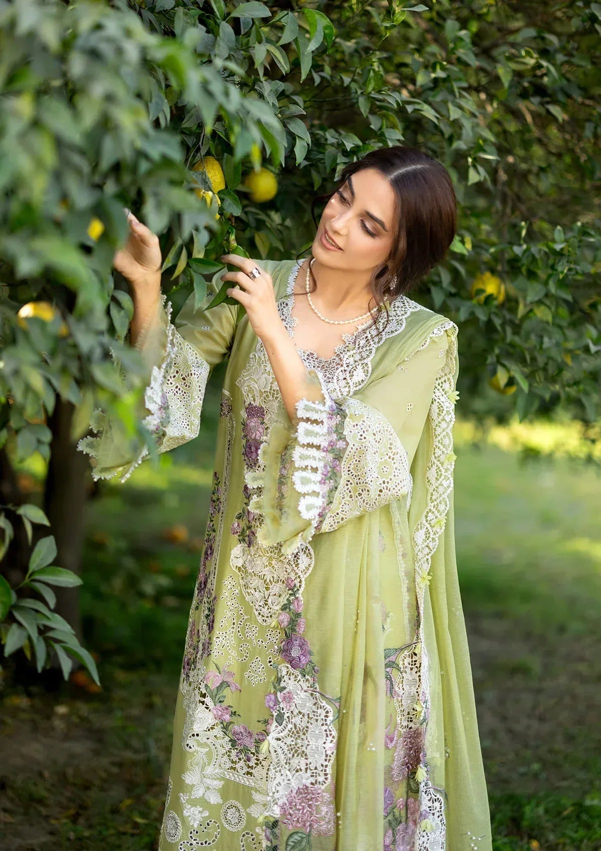 ELY-08 PISTACHIA - Aqsa Fabrics