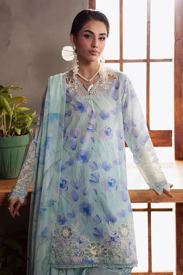 Nureh | Amaya Formals | DD-13 - Aqsa Fabrics