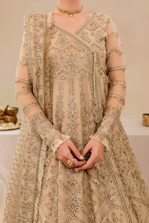 Farasha | Lumiere Formals | DREAMT FLAIR - Aqsa Fabrics