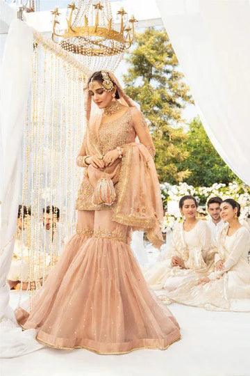 Maya | Wedding Formal Babul | ANAYAT - Aqsa Fabrics