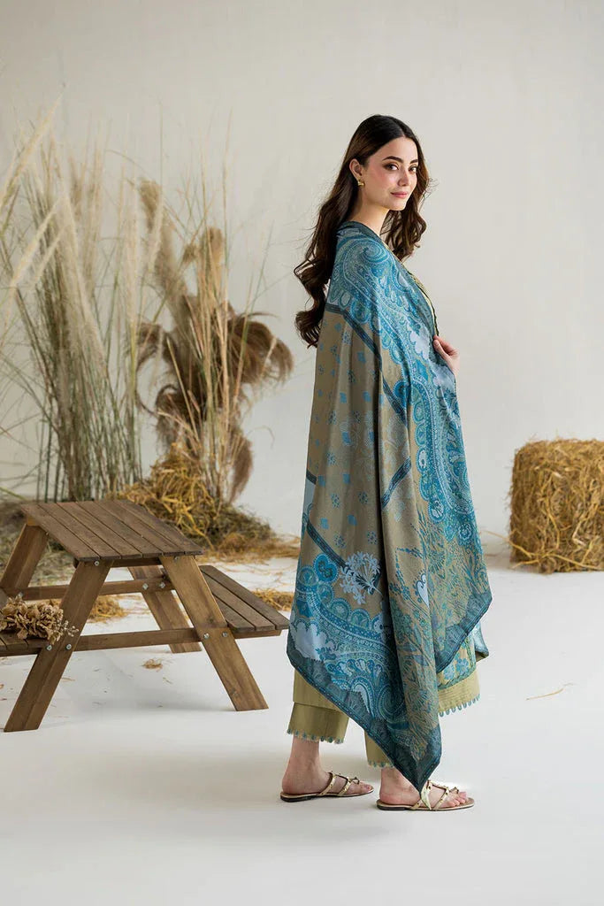 Sobia Nazir | Winter 25 | WE25-V1-6B - Aqsa Fabrics