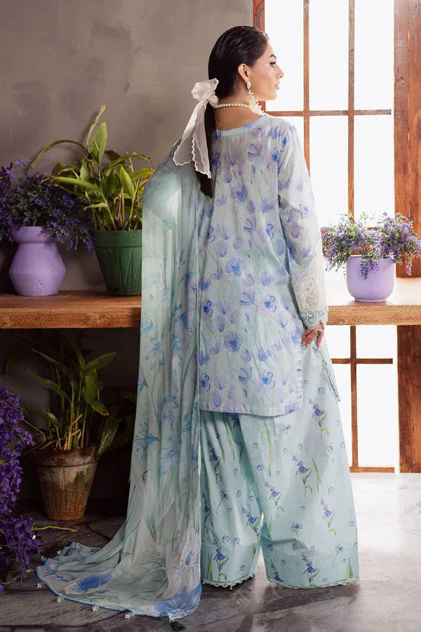 Nureh | Amaya Formals | DD-13 - Aqsa Fabrics