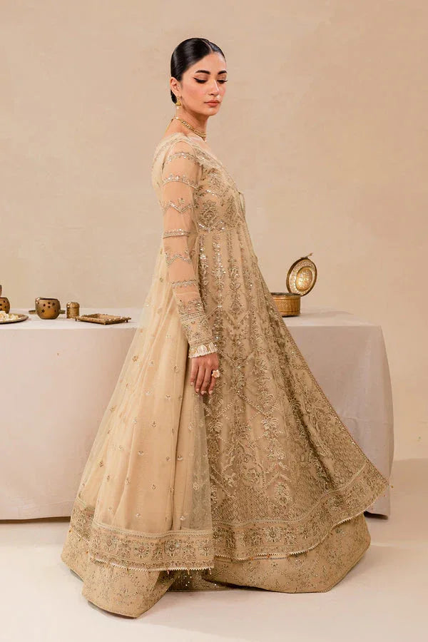 Farasha | Lumiere Formals | DREAMT FLAIR - Aqsa Fabrics