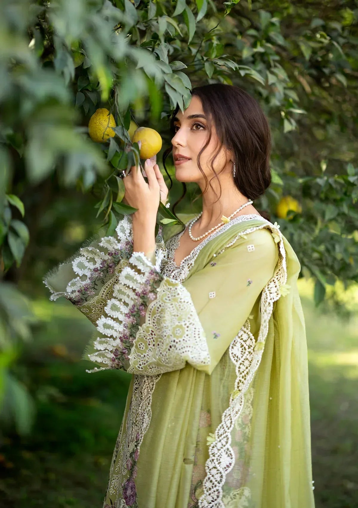 ELY-08 PISTACHIA - Aqsa Fabrics