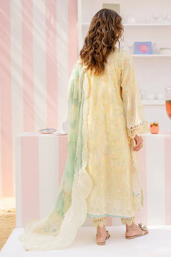 Nureh | Gardenia 25 | NSG-188 - Aqsa Fabrics