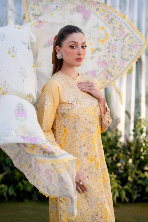 Aabyaan | Shezlin Chikankari Ramadan Edit 25 | NISA (AR-02) - Aqsa Fabrics