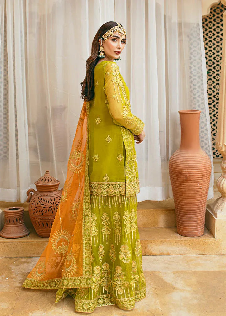 Daud Abbas | Formals Collection | Henna - Aqsa Fabrics