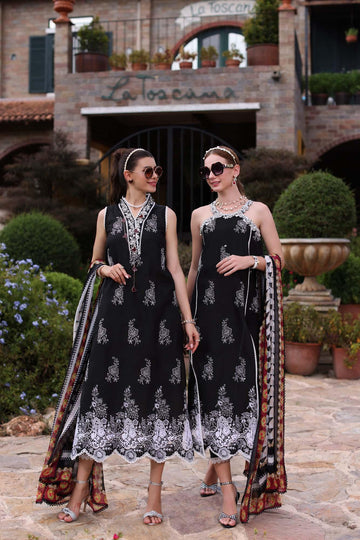 Noor by Saadia Asad | Eid Luxe Printkari 24 | D6 - Aqsa Fabrics