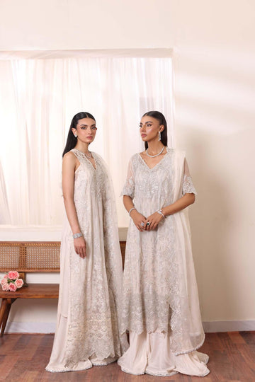 Noor by Saadia Asad | Noor Chiffon De Luxe | D5 - Aqsa Fabrics