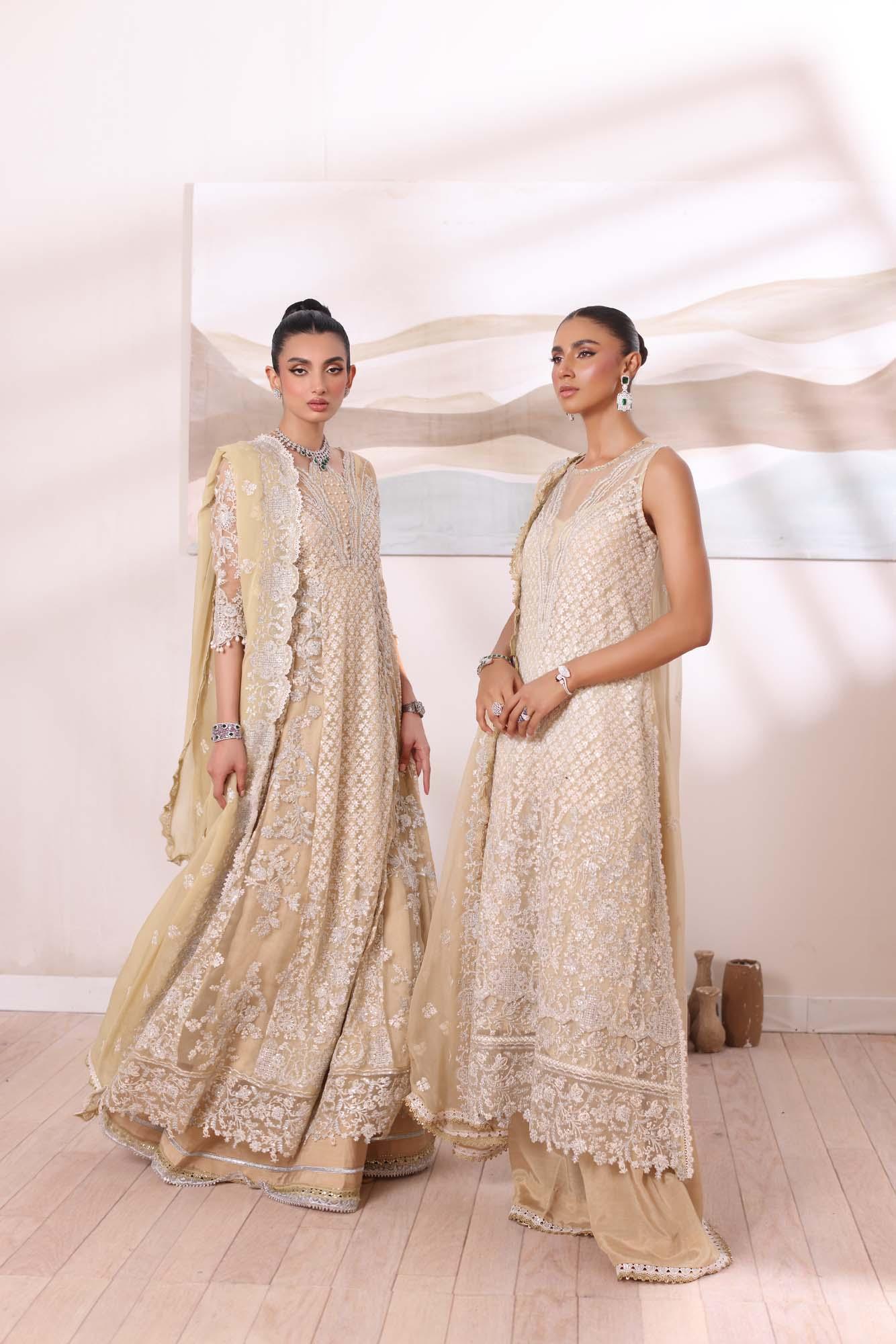 Noor by Saadia Asad | Noor Chiffon De Luxe | D1 - Aqsa Fabrics