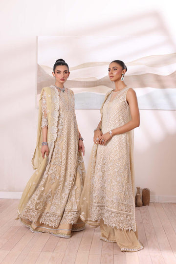 Noor by Saadia Asad | Noor Chiffon De Luxe | D1 - Aqsa Fabrics